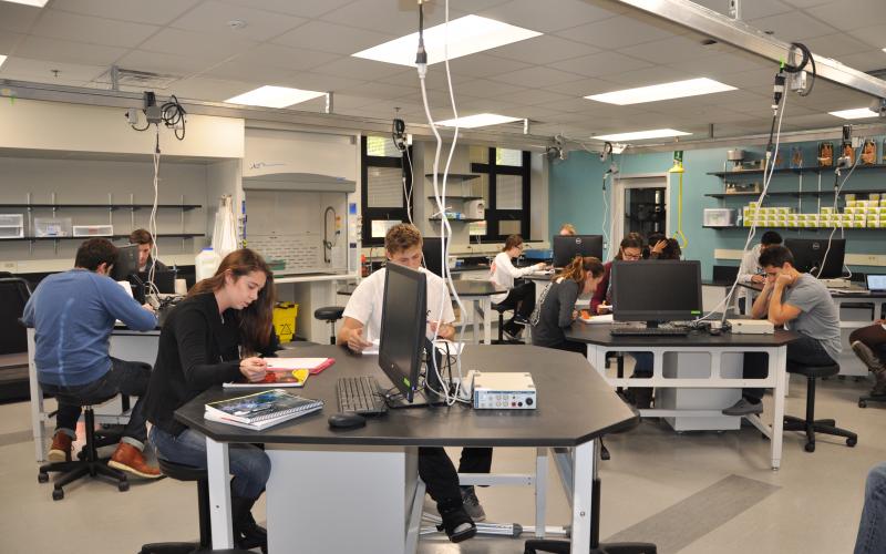 These students are working in one of the reconfigured Biology teaching labs