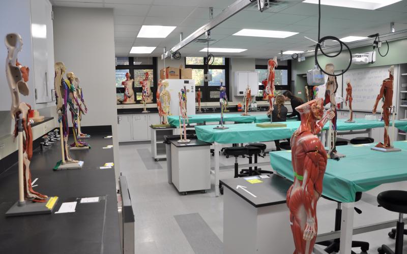 This is an undergraduate teaching laboratory where students study the human musculoskeletal system
