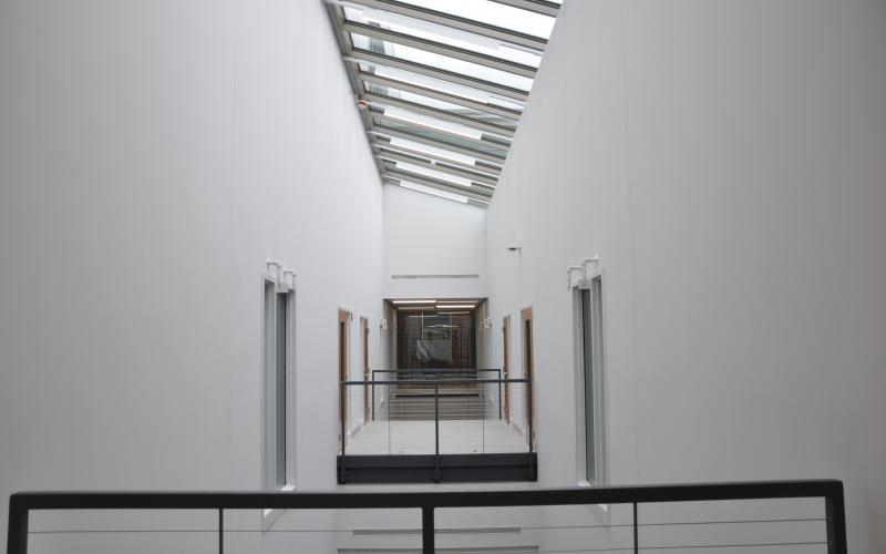 View from the second floor of the skylights that bring natural daylight into the core of the building