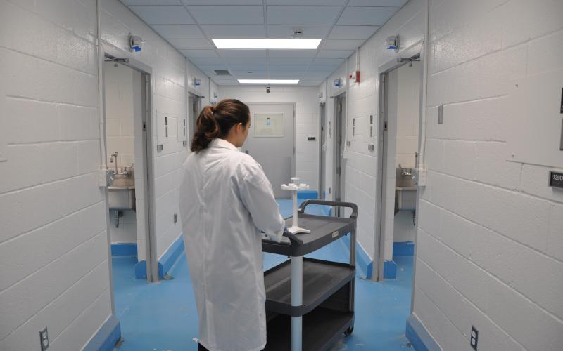 The shared research space and laboratories were improved with new finishes and stainless plumbing upgrades